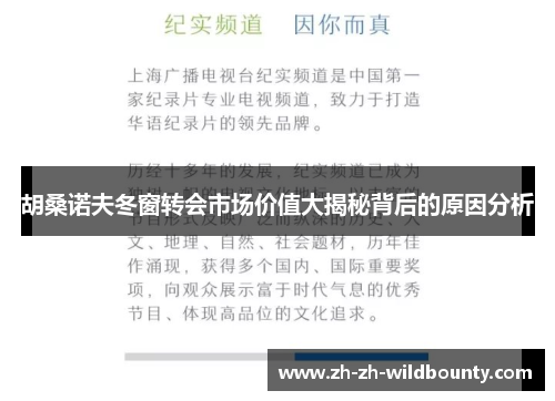 胡桑诺夫冬窗转会市场价值大揭秘背后的原因分析