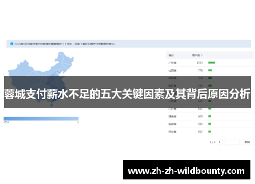 蓉城支付薪水不足的五大关键因素及其背后原因分析