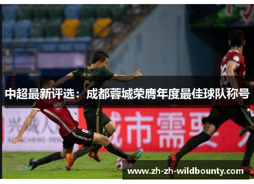 中超最新评选：成都蓉城荣膺年度最佳球队称号